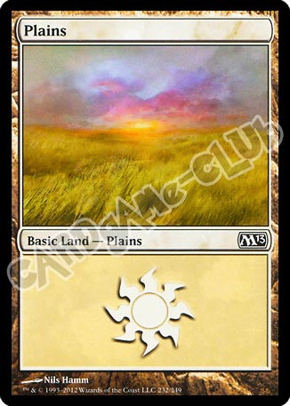 232 / 249 Plains comune (EN) -NEAR MINT-