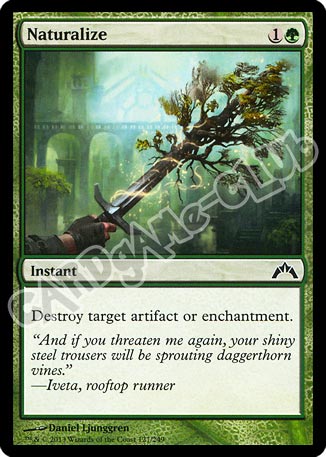 127 / 249 Naturalize comune (EN) -NEAR MINT-