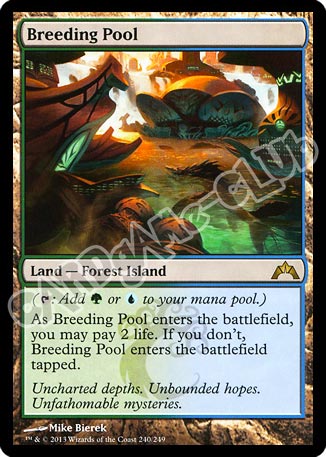 240 / 249 Breeding Pool rara (EN) -NEAR MINT-