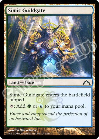 246 / 249 Simic Guildgate comune (EN) -NEAR MINT-