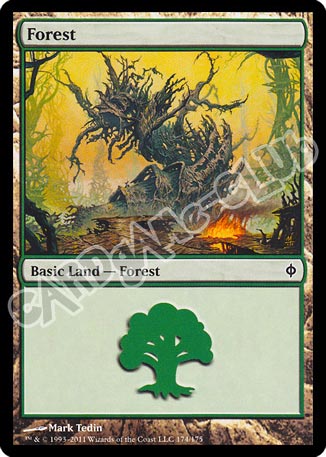 174 / 175 Forest comune (EN) -NEAR MINT-