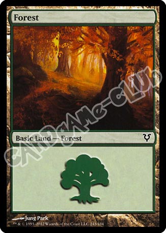 243 / 244 Forest comune (EN) -NEAR MINT-