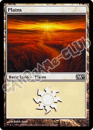 231 / 249 Plains comune (EN) -NEAR MINT-