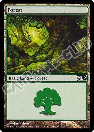 249 / 249 Forest comune (EN) -NEAR MINT-