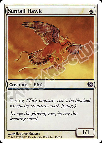049 / 350 Suntail Hawk comune (EN) -NEAR MINT-