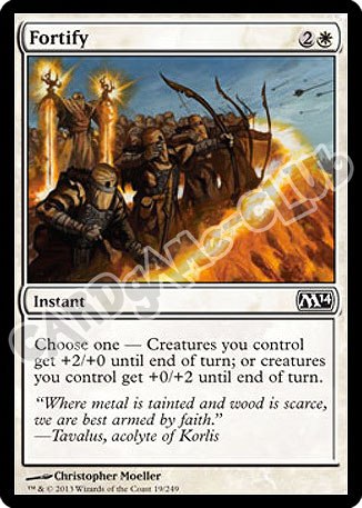 019 / 249 Fortify comune (EN) -NEAR MINT-