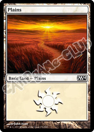 230 / 249 Plains comune (EN) -NEAR MINT-