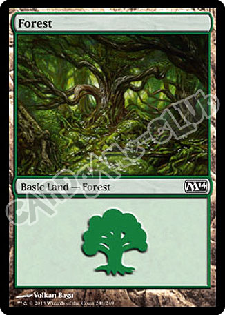 246 / 249 Forest comune (EN) -NEAR MINT-