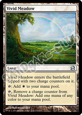 229 / 229 Vivid Meadow non comune (EN) -NEAR MINT-