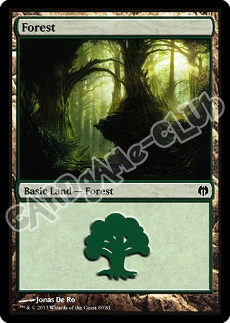 80 / 81 Forest comune (EN) -NEAR MINT-