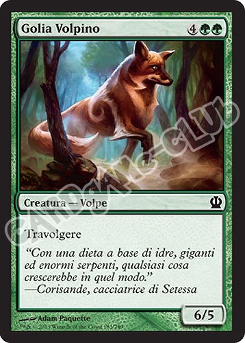 183 / 249 Golia Volpino comune (IT) -NEAR MINT-
