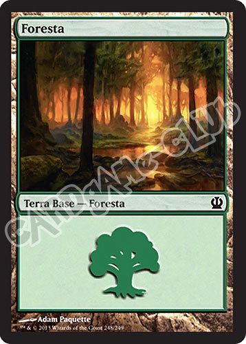 248 / 249 Foresta comune (IT) -NEAR MINT-