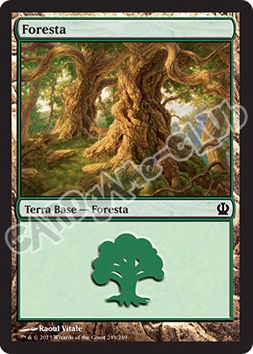 249 / 249 Foresta comune (IT) -NEAR MINT-