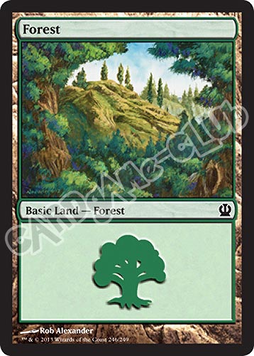 246 / 249 Forest comune (EN) -NEAR MINT-