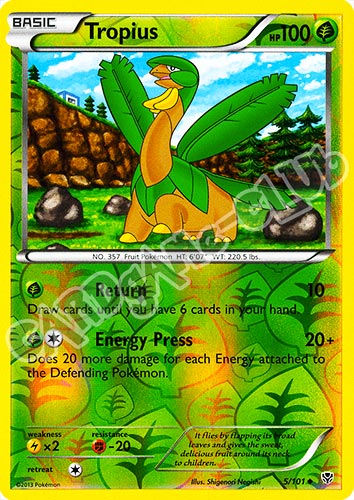 005 / 101 Tropius non comune foil reverse (EN) -NEAR MINT-