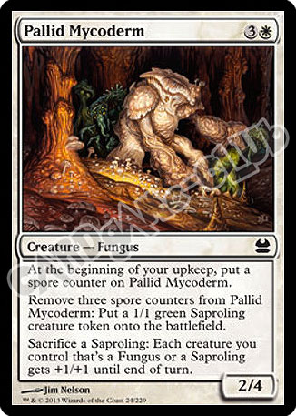 024 / 229 Pallid Mycoderm comune (EN) -NEAR MINT-