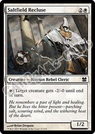 027 / 229 Saltfield Recluse comune (EN) -NEAR MINT-