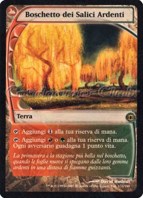 176 / 180 Boschetto dei Salici Ardenti rara (IT) -NEAR MINT-