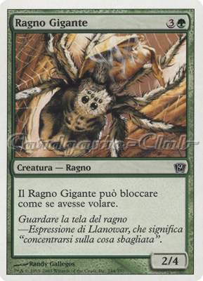 244 / 350 Ragno Gigante comune (IT) -NEAR MINT-