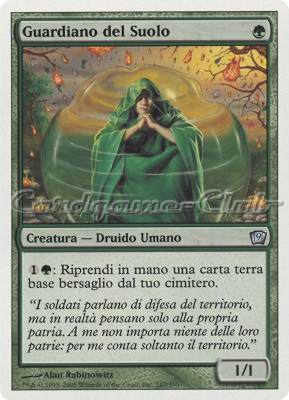 247 / 350 Guardiano del Suolo non comune (IT) -NEAR MINT-