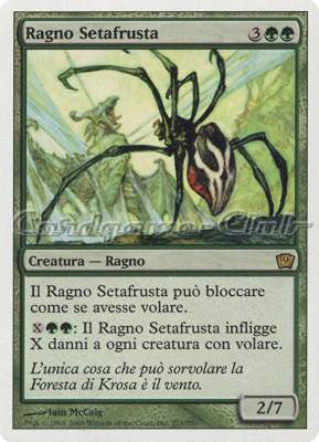 271 / 350 Ragno Setafrusta rara (IT) -NEAR MINT-