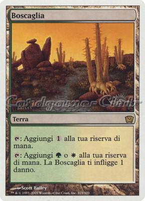 319 / 350 Boscaglia rara (IT) -NEAR MINT-