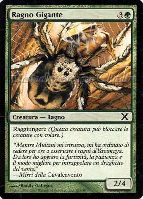 267 / 383 Ragno Gigante comune (IT) -NEAR MINT-