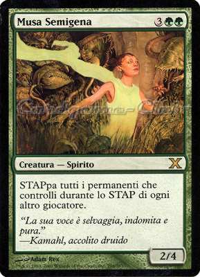 296 / 383 Musa Semigena rara (IT) -NEAR MINT-