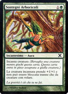 304 / 383 Sostegni Arboricoli comune (IT) -NEAR MINT-