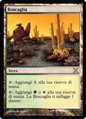 349 / 383 Boscaglia rara (IT) -NEAR MINT-