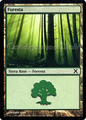 381 / 383 Foresta comune (IT) -NEAR MINT-