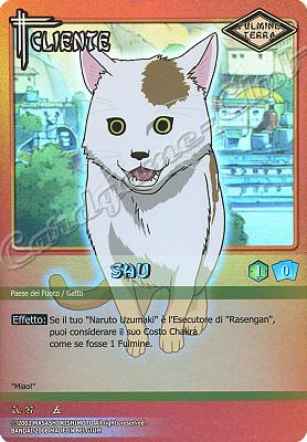 CL-27 Shu rara foil -NEAR MINT-