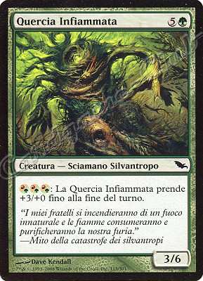115 / 301 Quercia Infiammata comune (IT) -NEAR MINT-