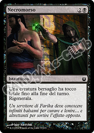 077 / 165 Necromorso comune (IT)