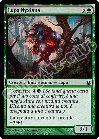 131 / 165 Lupa Nyxiana comune (IT)