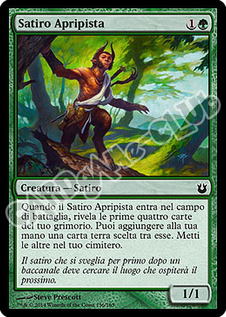 136 / 165 Satiro Apripista comune (IT)