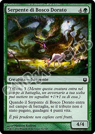 141 / 165 Serpente di Bosco Dorato comune (IT)