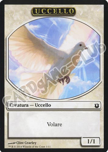 01 / 11 Uccello comune (IT)