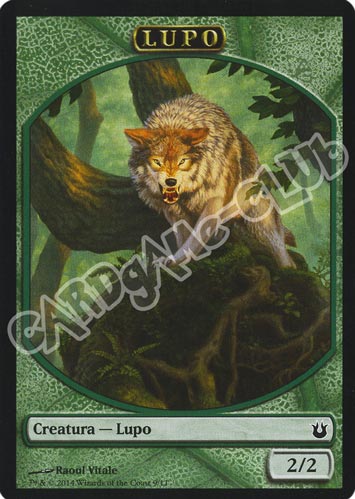 09 / 11 Lupo comune (IT)