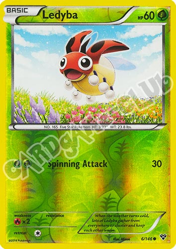 006 / 146 Ledyba comune foil reverse (EN) -NEAR MINT-