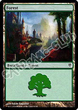 86 / 88 Forest comune (EN) -NEAR MINT-