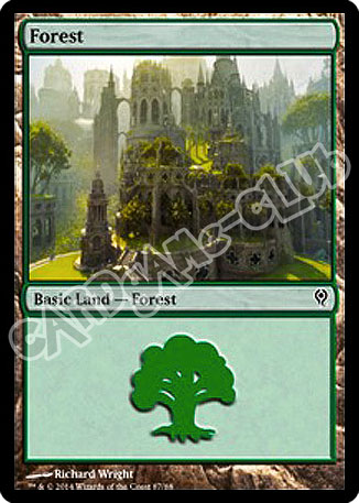 87 / 88 Forest comune (EN) -NEAR MINT-