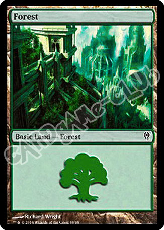 88 / 88 Forest comune (EN) -NEAR MINT-