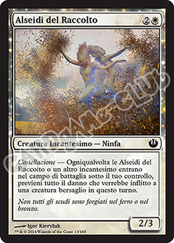 013 / 165 Alseidi del Raccolto comune (IT) -NEAR MINT-