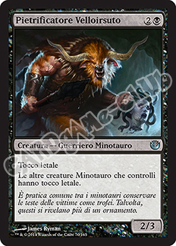 070 / 165 Pietrificatore Velloirsuto non comune (IT) -NEAR MINT-