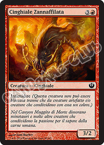 090 / 165 Cinghiale Zannaffilata comune (IT) -NEAR MINT-