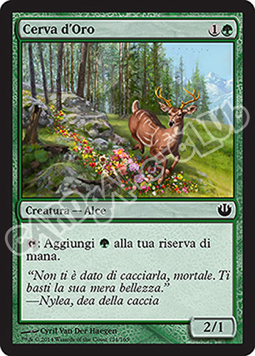 124 / 165 Cerva d'Oro comune (IT) -NEAR MINT-