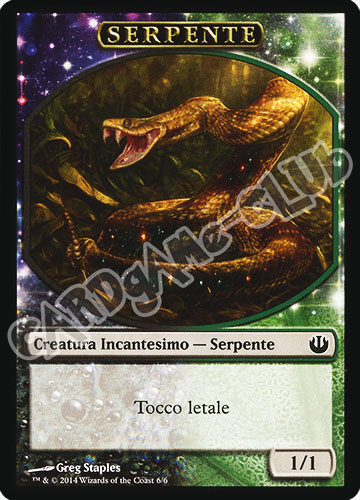 6 / 6 Serpente comune (IT)