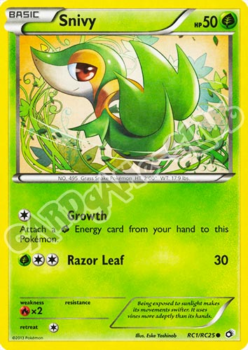 RC1/RC25 Snivy radiant foil (EN) -NEAR MINT-