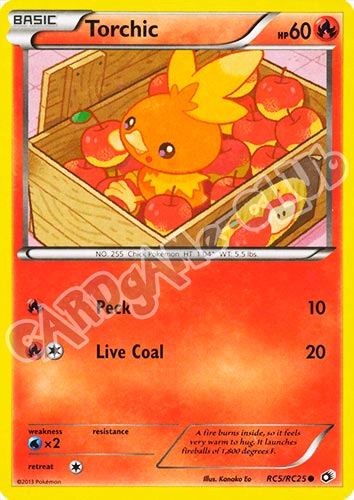 RC5/RC25 Torchic radiant foil (EN) -NEAR MINT-